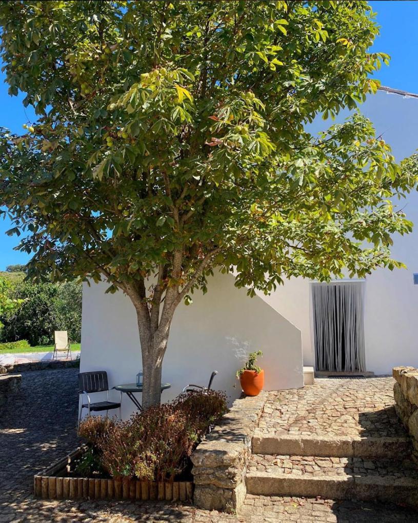 Quinta D'Abegoa Villa Marvão Exterior photo